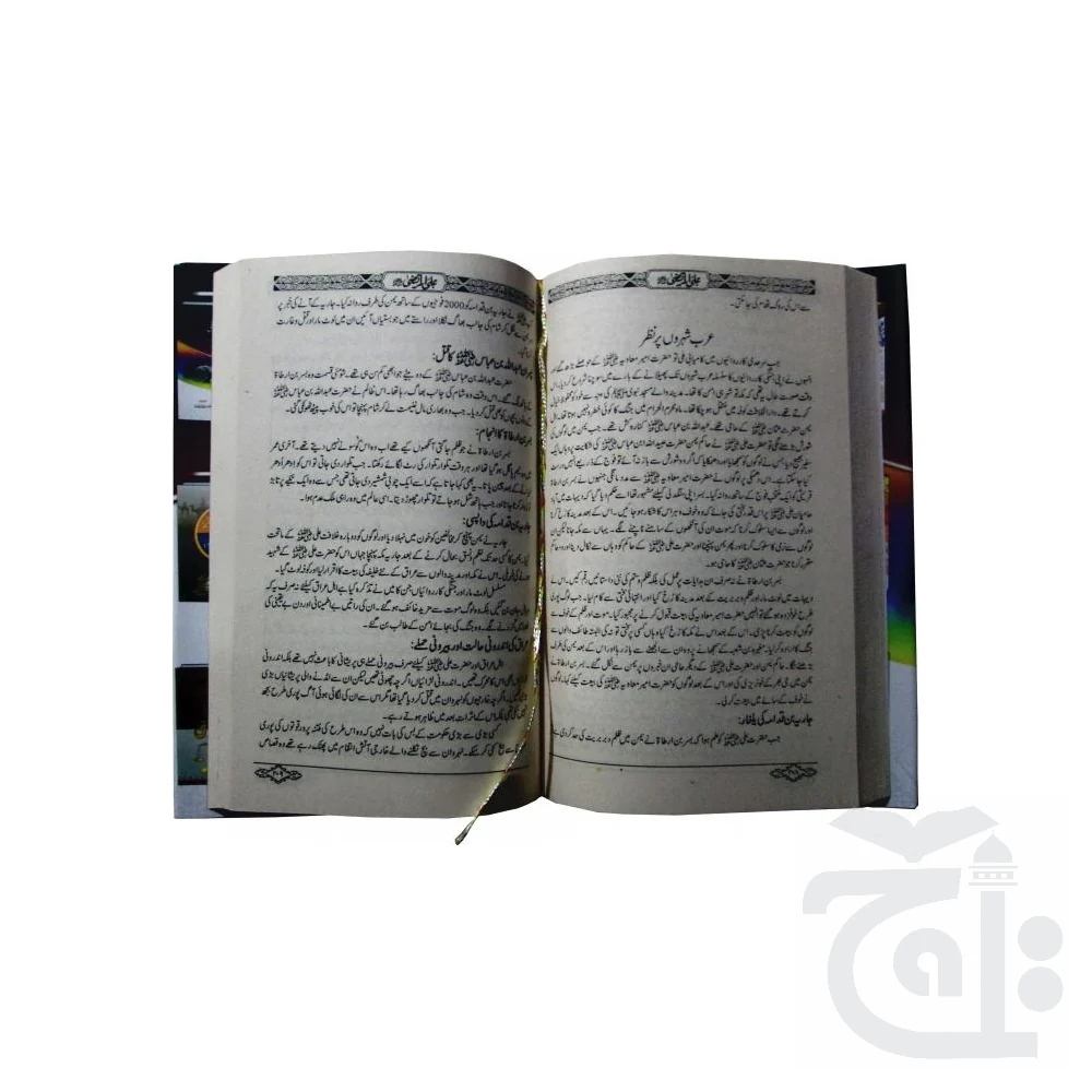 Hazrat e Ali (URDU) 394 - Image 2