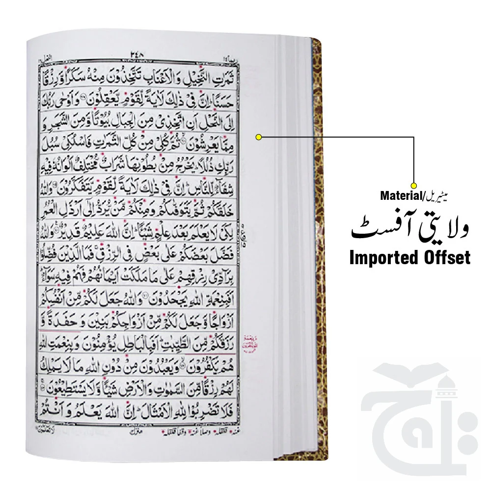 Holy Quran Tajweedi 876-2L - Image 2