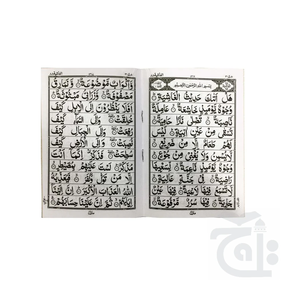 Para 30 (48 Pages 11 Line) 300-31C - Image 2