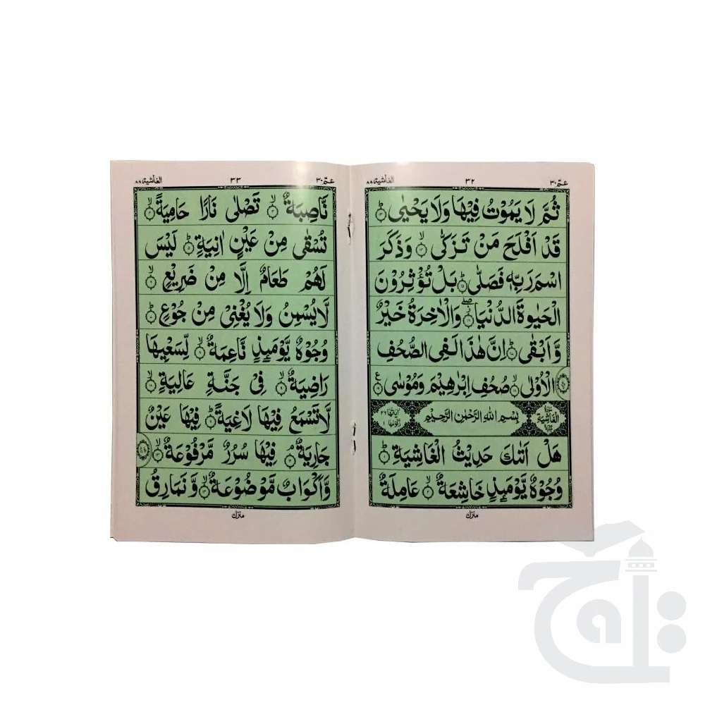 Para No.30(9 Line Bold) 71-31KC - Image 2