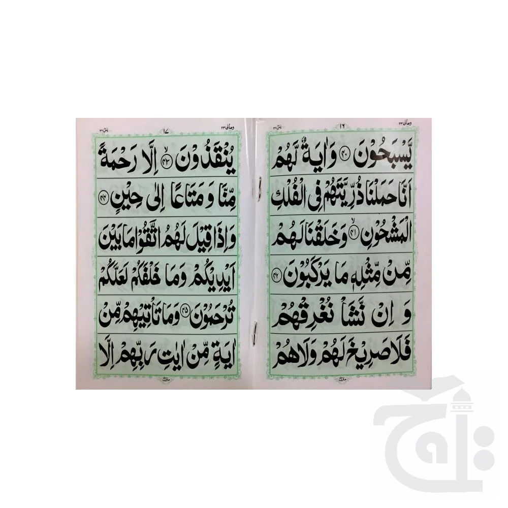 soora yaseen (bold font)32 Pages 204-2M - Image 2