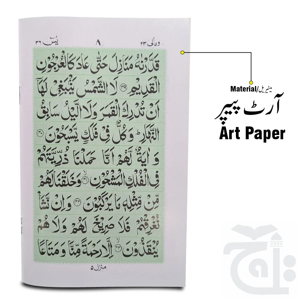 Sura Yaseen Bold 16 Pages 86-3K - Image 2