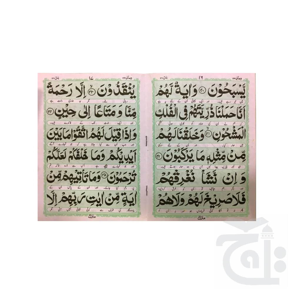 Surah Yaseen Translated 32 Pages 281C - Image 2