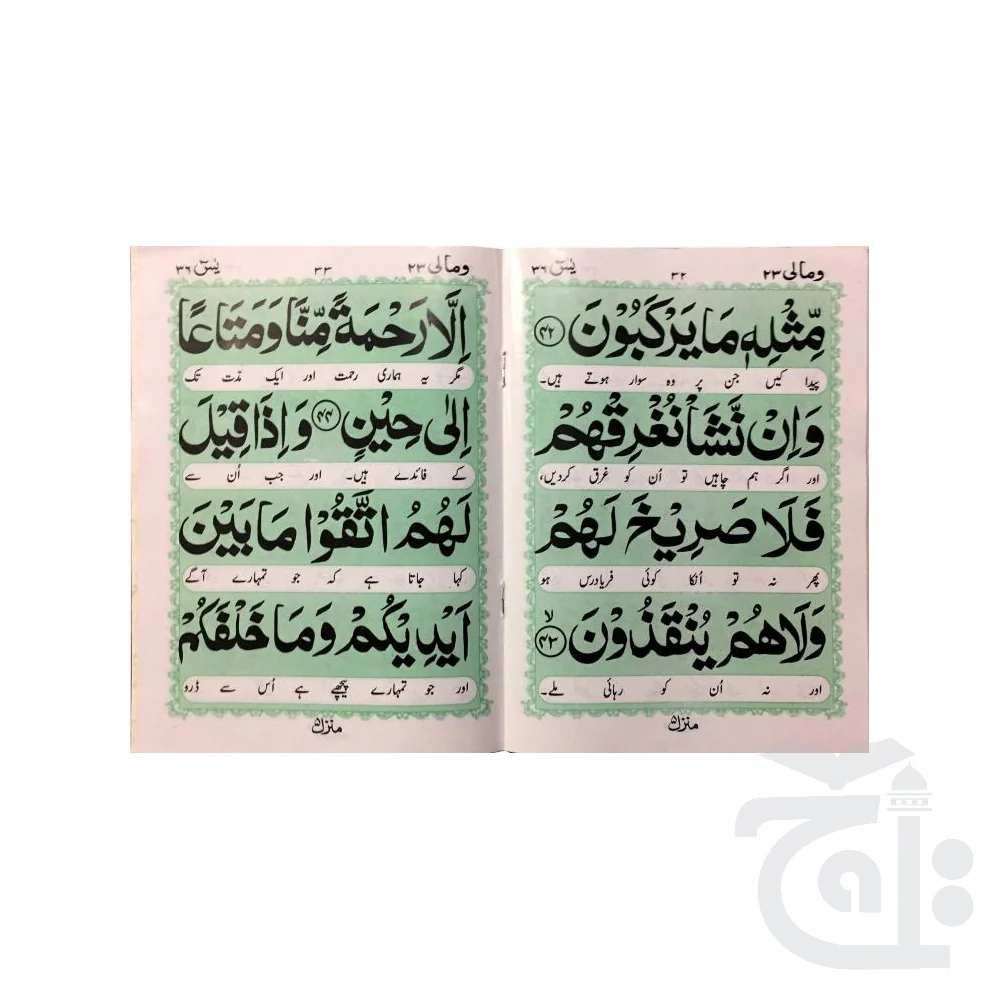 Surah Yaseen Translated 64 Pages 282K - Image 2