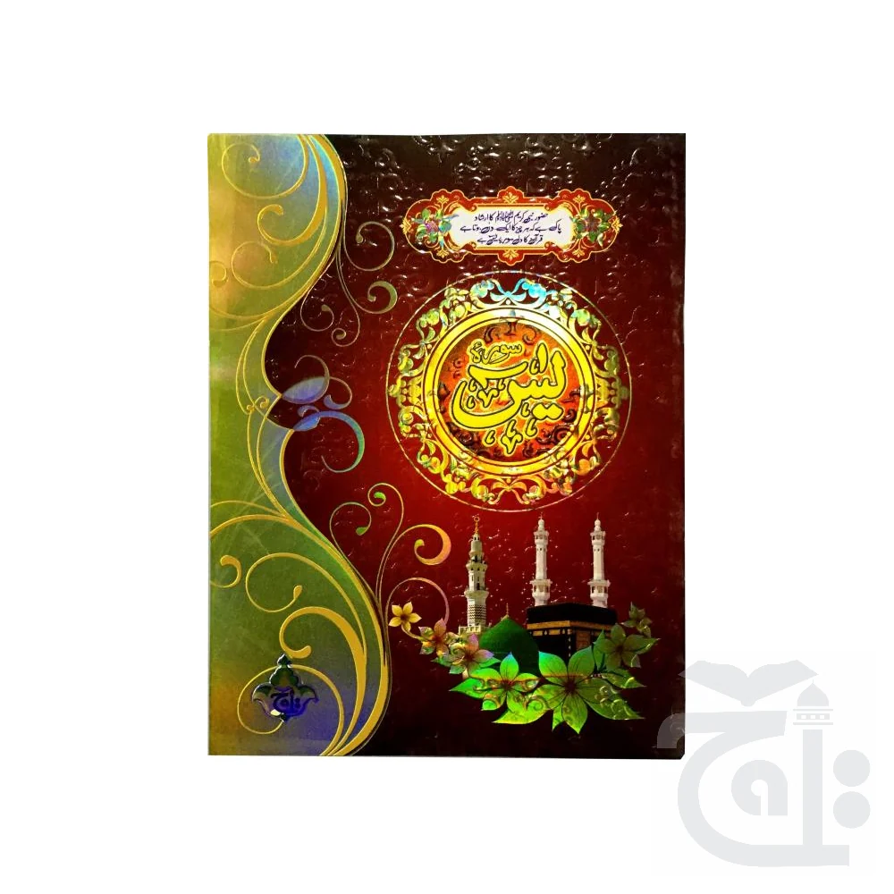 Surah Yaseen Translated 64 Pages 282KF