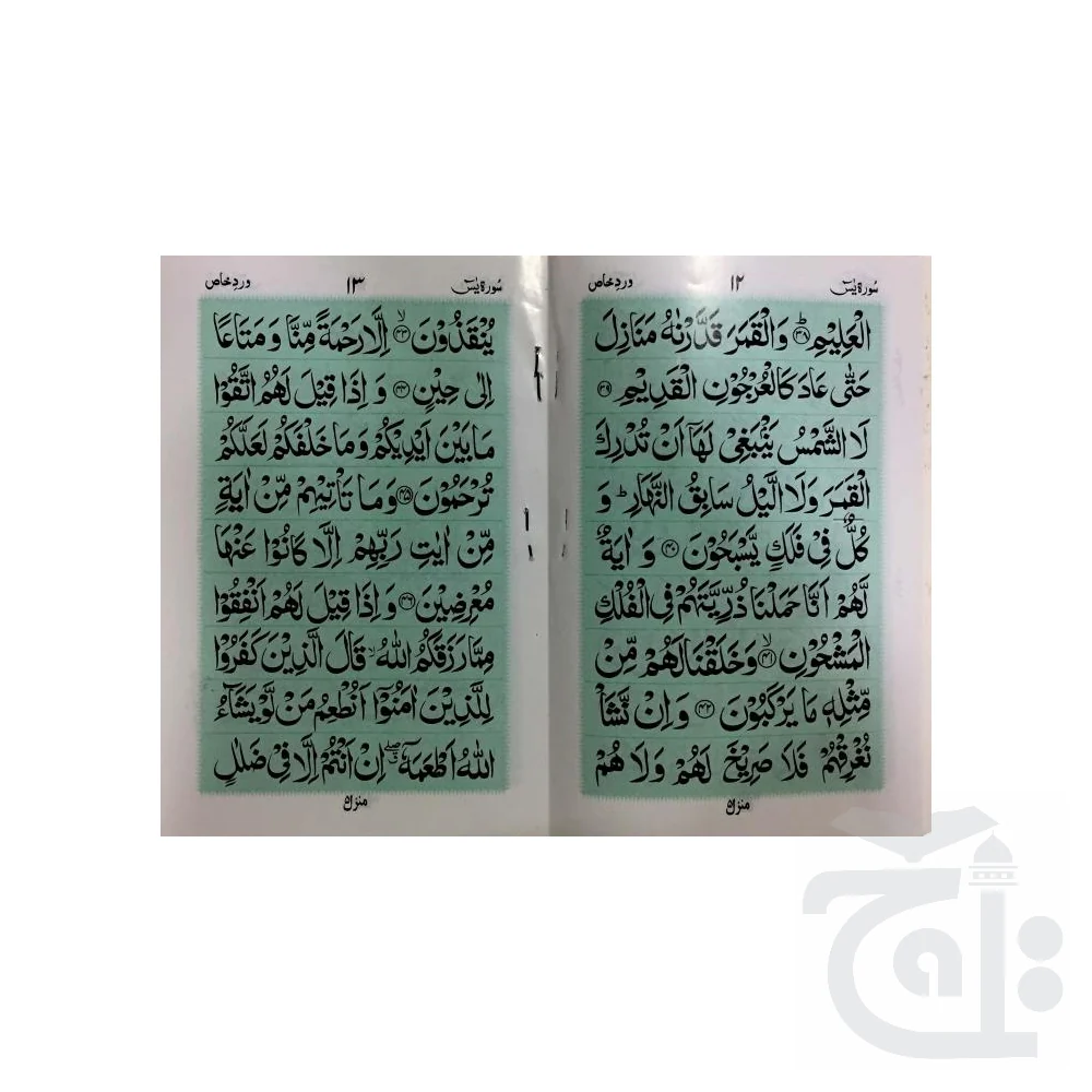 Wird Khas sura Yasin(Purfeum) 473M - Image 2