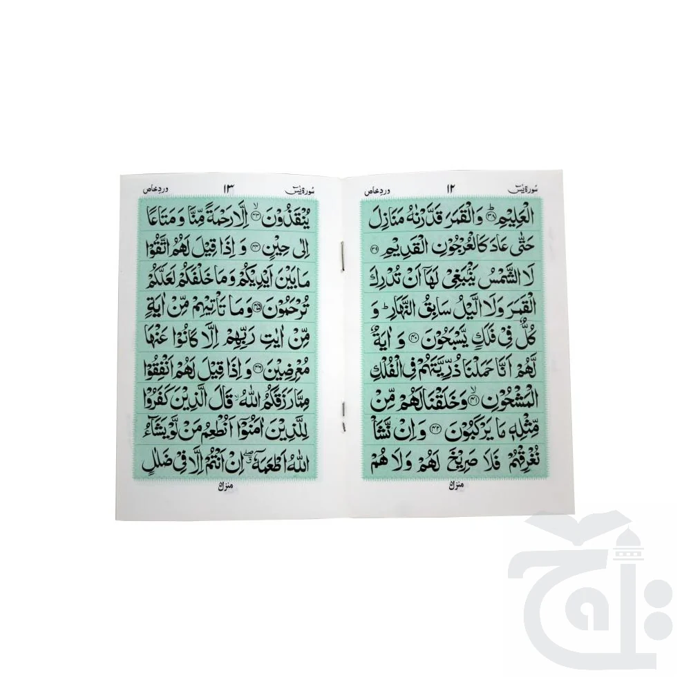 Wird Khas sura Yasin(Purfeum) 473M - Image 4